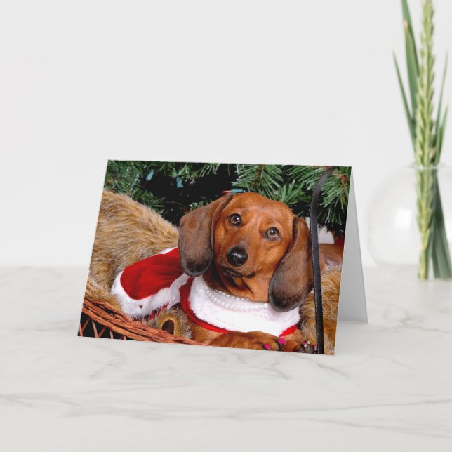 Festividades Cartão de Natal Dachshund (Frente)