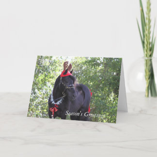 Festividades Cartão de Natal Dales Pony