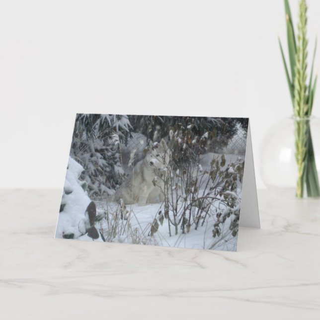 Festividades Cartão de Natal de Cachorro de Joia de Amor pela P (Frente)