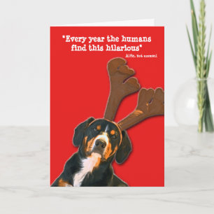Festividades Cartão de Natal de Cachorro - Os humanos acham iss