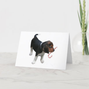Festividades Cartão de Natal de Canas de Beagle Puppy Candy