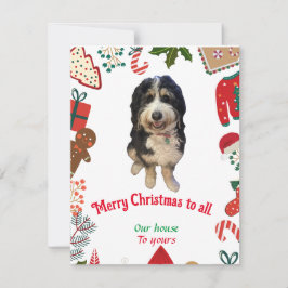 Festividades Cartão de Natal de cão Bernedoodle Whimsical