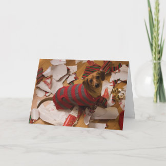 Festividades Cartão de Natal de Cão Mau