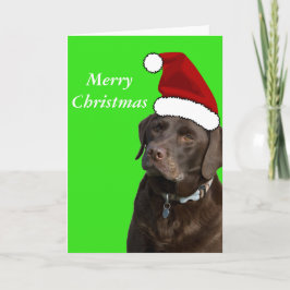 Festividades Cartão de Natal de Chocolate Labrador