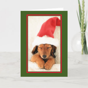 FESTIVIDADES CARTÃO DE NATAL DE DACHSHUND BOMBA DE DORMIR