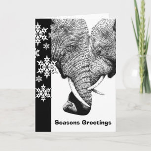 Festividades Cartão de Natal de Elefantes Africanos