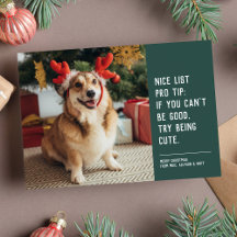 Cartão de Natal de férias com foto de animal fofo 