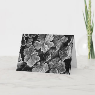 Festividades Cartão de Natal de Folhas Congeladas