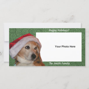 Festividades Cartão de Natal de Foto Beagle para papais noeis
