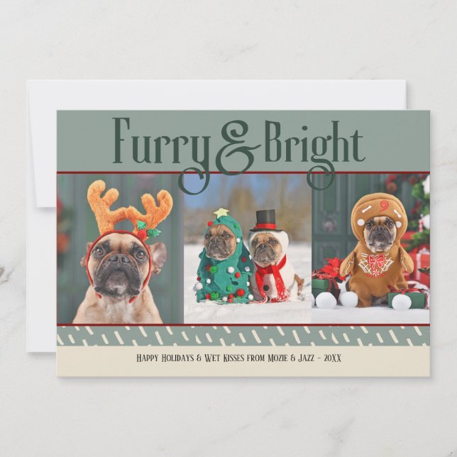Festividades Cartão de Natal de Furry & Bright Dog (Frente)