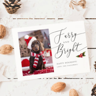 Festividades Cartão de Natal de Furry e Bright Pet