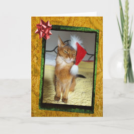 Festividades Cartão de Natal de Gatinho