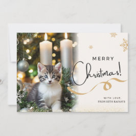 Festividades Cartão de Natal de gato bonito