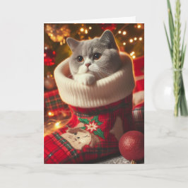 Festividades Cartão de Natal de Gato British Shorthair em uma M