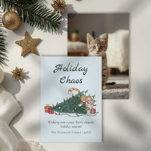 Festividades Cartão de Natal de Gato Divertido Caos de Férias