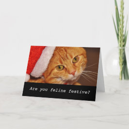 Festividades Cartão de natal de gato personalizado engraçado