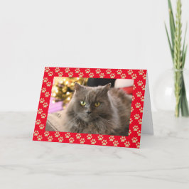 Festividades Cartão de Natal De Gato Pet Personalizado