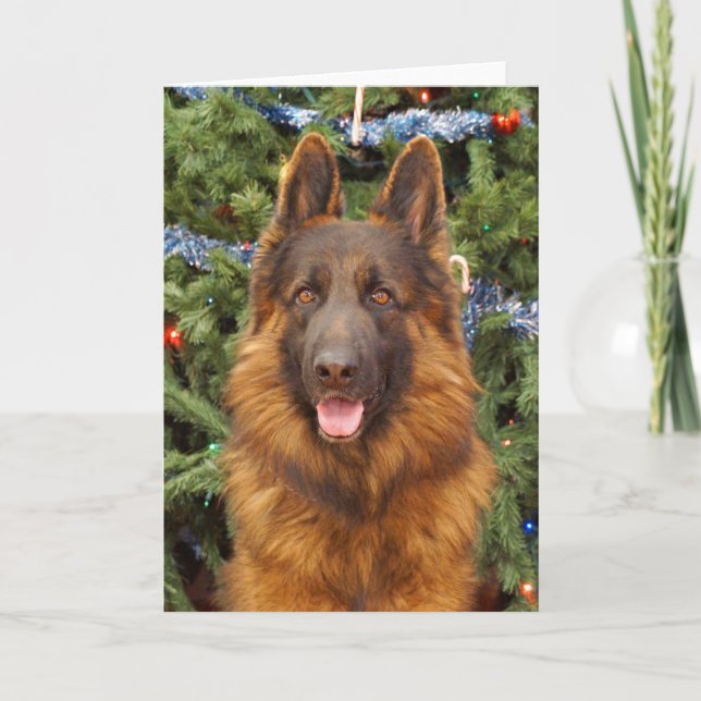 Festividades Cartão de Natal de german shepherd (Frente)