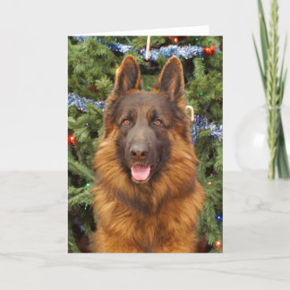 Festividades Cartão de Natal de german shepherd