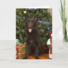Festividades Cartão de Natal de German shepherd Preto