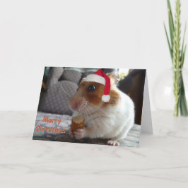 Festividades Cartão de Natal de Hamster