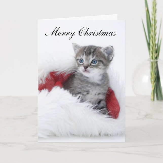 Festividades Cartão de Natal de Kitten (Frente)