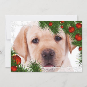 Festividades Cartão de Natal de Laboratório Amarelo - Cachorr