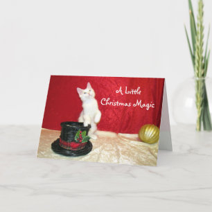 Festividades Cartão de Natal de Maine Coon Magic Hat Maine da B