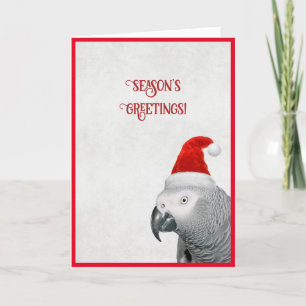 Festividades Cartão de Natal de Papagaio-Cinza Africano
