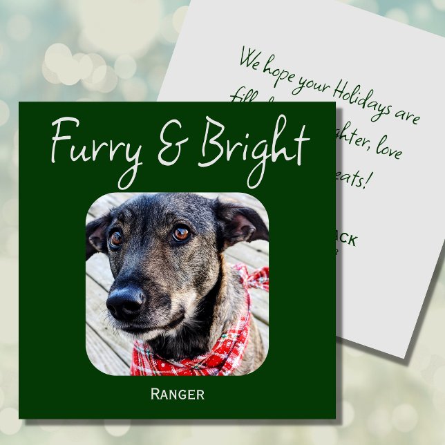 Festividades Cartão de Natal de Pet Verde Minimimalístico (Criador carregado)