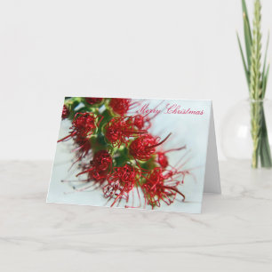 Festividades Cartão de Natal de Pincel de Garrafa Australiano