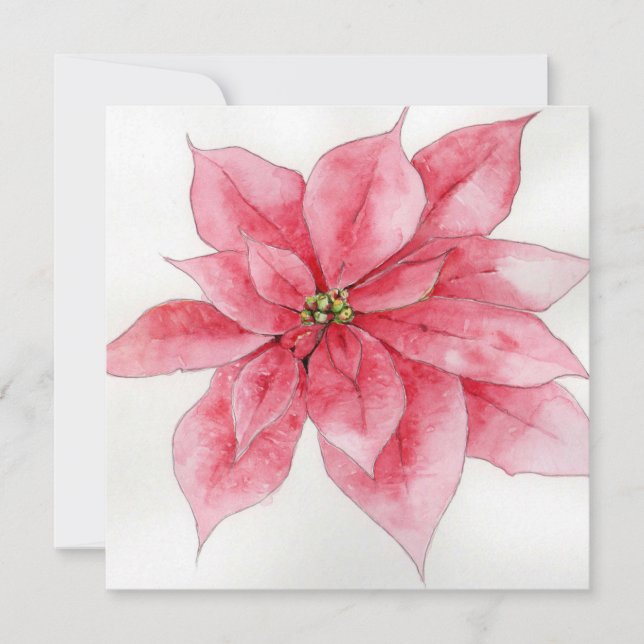 Festividades Cartão de Natal de Poinsettia Rosa (Frente)