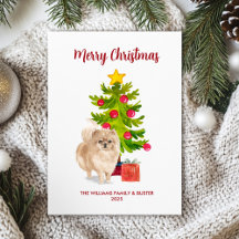 Cartão de Natal de Pomerânia