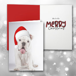 Festividades Cartão de Natal de Santa Hat White Bulldog