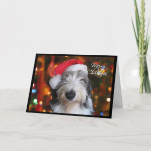 Festividades Cartão de Natal de Sheepdog Antigo em Inglês