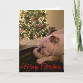 Festividades Cartão de Natal de Sonho para Bulldog Inglês