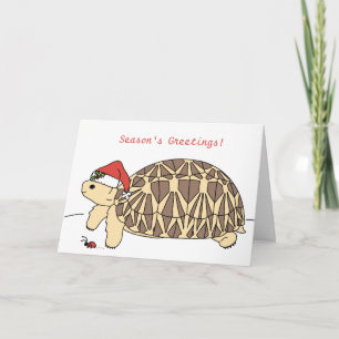 Festividades Cartão de Natal de Star Tortoise Personalizável