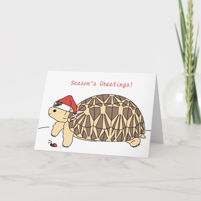 Festividades Cartão de Natal de Star Tortoise Personalizável (Frente)