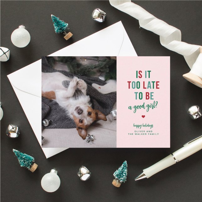 Festividades Cartão de Natal de uma boa garota com animal de es (dog owner Christmas cards with funny sayings)