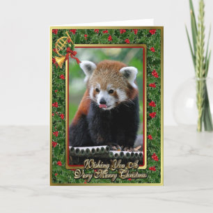 Festividades Cartão de Natal de Vazio Animal Chinês Red Panda