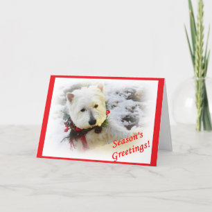 Festividades Cartão de Natal de Westie