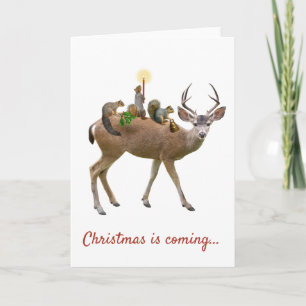 Festividades Cartão de Natal Deer e Squirrels