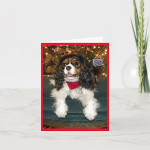 Festividades Cartão de Natal descuidado do Spaniel de rei