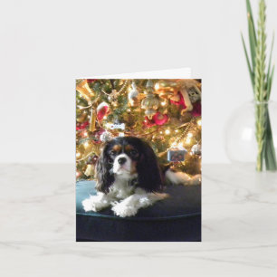 Festividades Cartão de Natal descuidado do Spaniel de rei