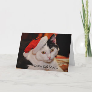 Festividades Cartão de Natal Diversão do Gato do Gato do Gato d