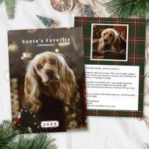 Cartão de Natal Divertido de Animal de Estimação c