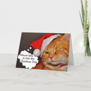 Festividades Cartão de Natal Divertido e Fofo de Gato para as F
