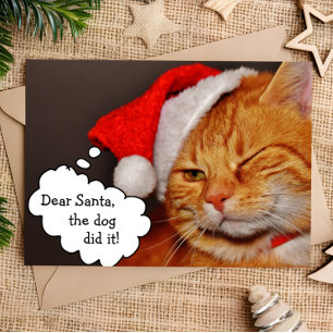 Festividades Cartão de Natal Divertido e Fofo de Gato para as F