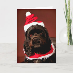 Festividades Cartão de Natal do American Cocker Spaniel