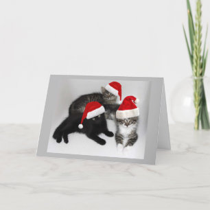 Festividades Cartão de Natal do Auxiliar Kitten papais noeis